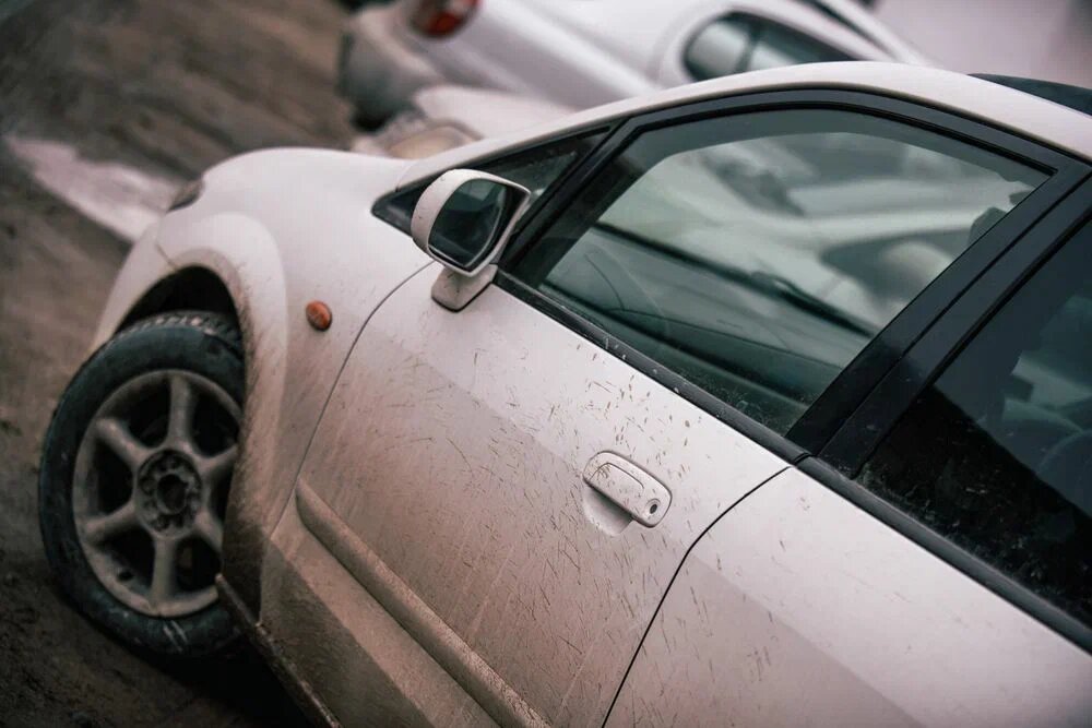    Фото: Амур.инфо