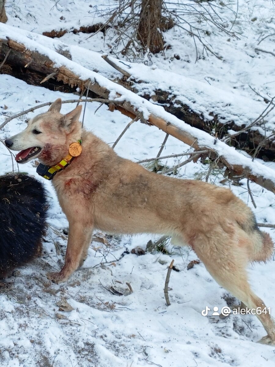 Что значит слово говорю