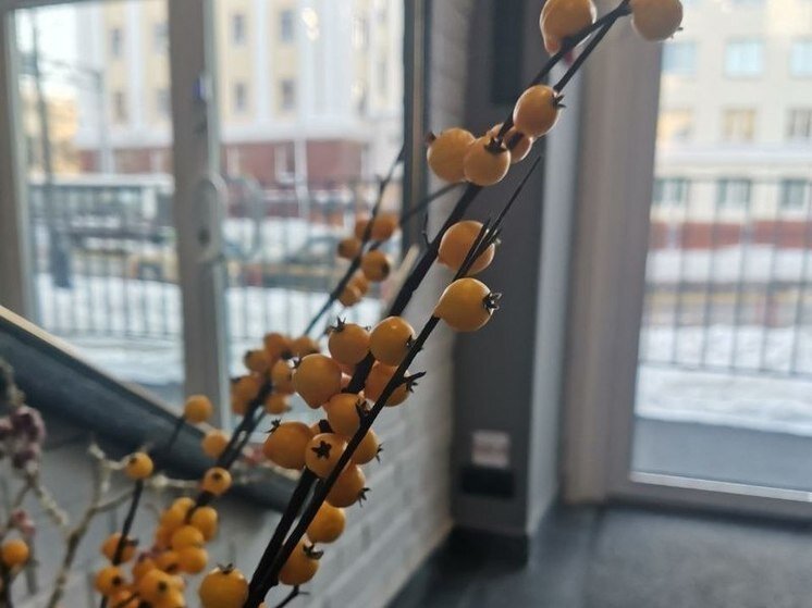 График 2023 года с выходными и праздничными. 03 ноября 2023 сокращенный рабочий. Производственный календарь 2023. 03 ноября 2023 сокращенный рабочий. График рабочих и праздничных дней на 2023 год.