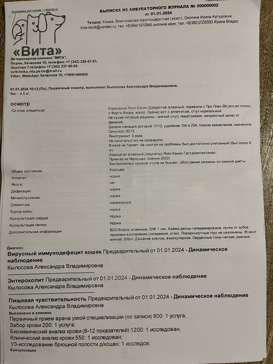 Новости о Теодоре. Обследование не окончено. Ищу помощи. | 