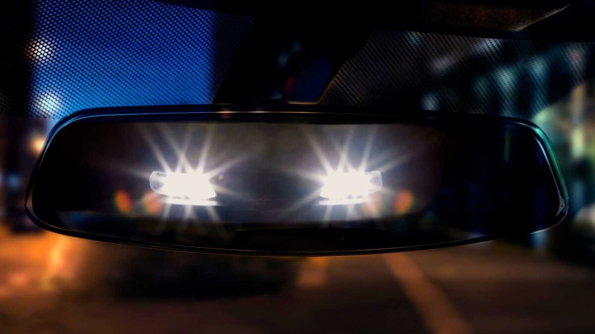 Фото взято из открытых источников