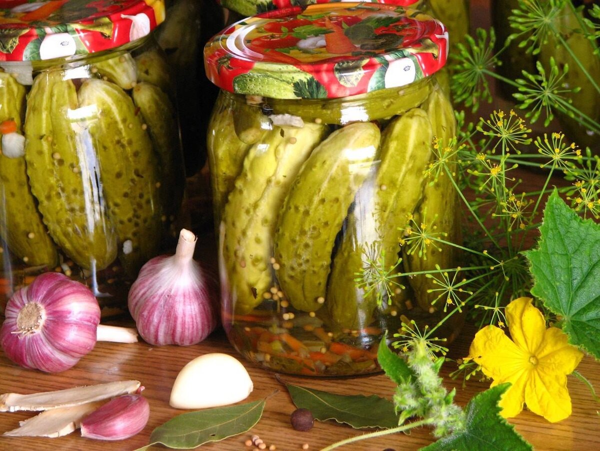 Фото из открытых источников сети интернет