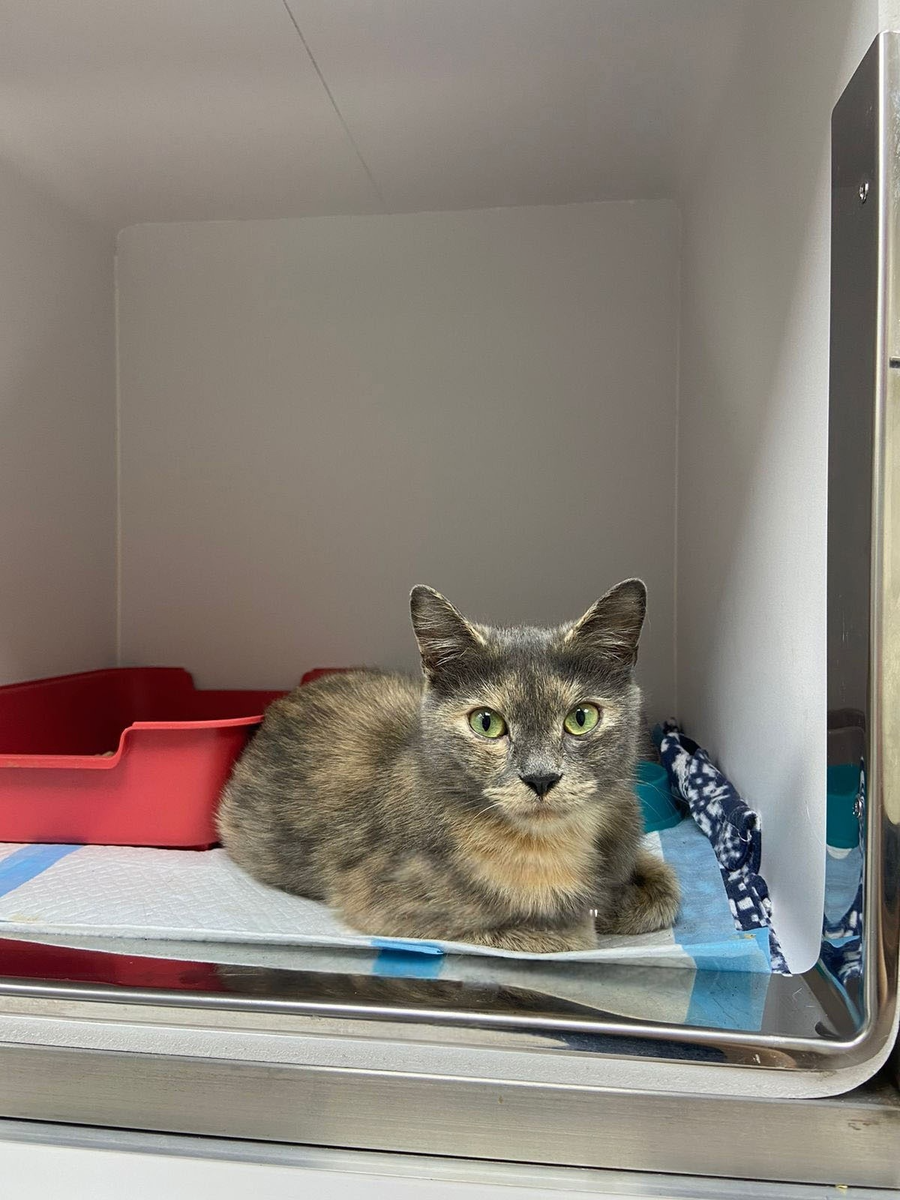 Что значит слово мало. Что значит слово мало. Что значит слово значит. Что значит слово мало. Что значит быть вежливым.