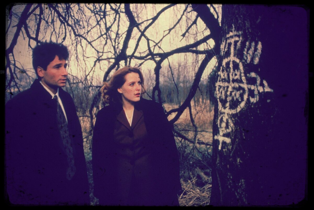 Мегапопулярный сериал "Секретные материалы" был снят на волне ажиотажа вокруг темы НЛО, заговора и сатанинских культов. Он давал зрителям то блюдо, которое они заказывали.