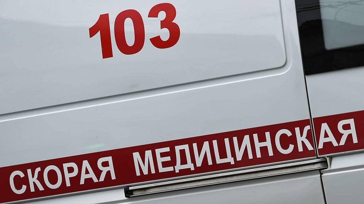 Фото: https://tvzvezda.ru/ (https://mcdn.tvzvezda.ru/storage/news_other_images/2023/12/06/ebd1de78509c43c38c61235ce8a265c1.jpg)