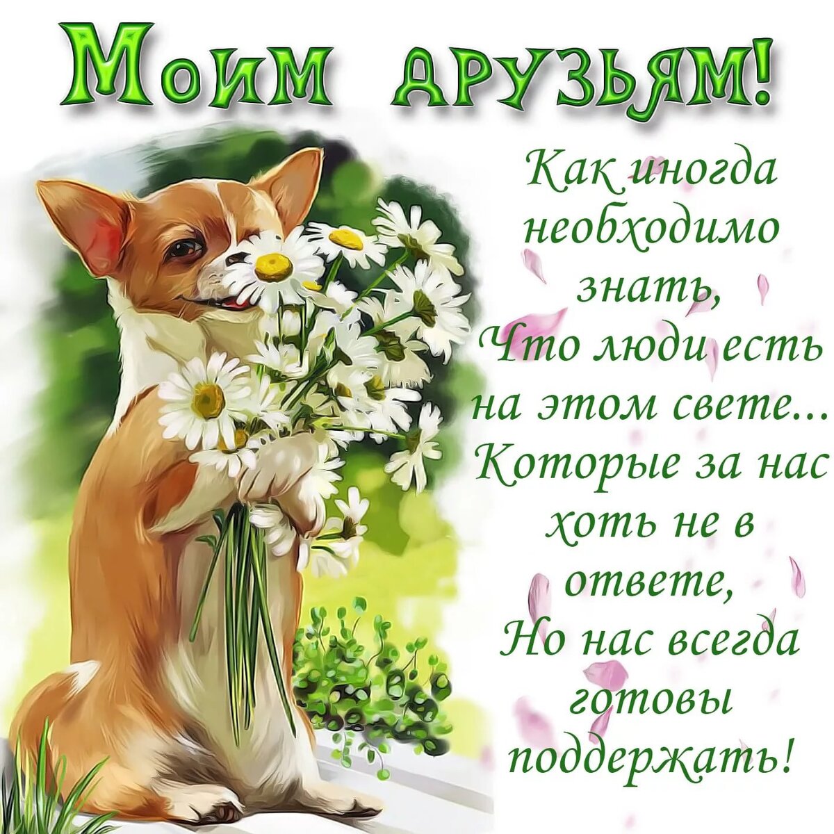 фото из интернета