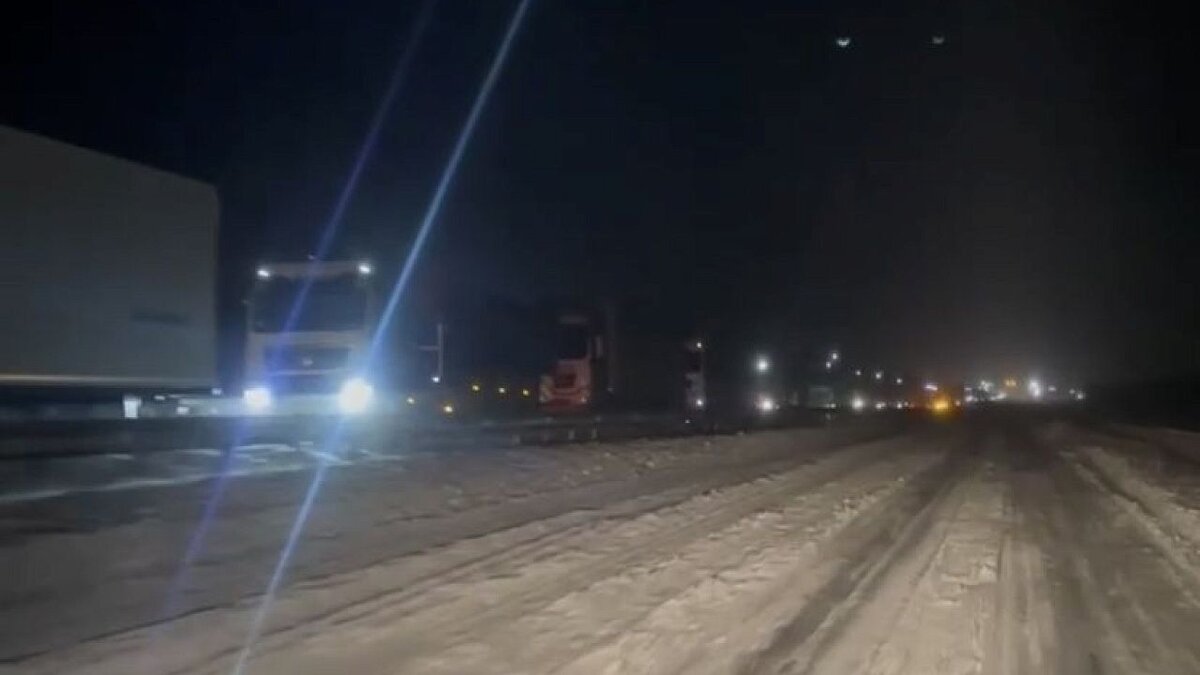    На трассе М-4 «Дон» образовалась большая ночная пробка из-за метели Фото: t.me/privet_rostov_ru