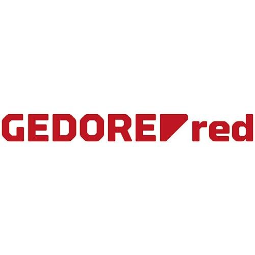 Рис.1. Логотип  Gedore Red.