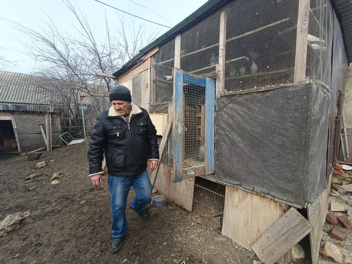 Они живут на всех континентах земли, кроме Антарктиды. Рассекают небеса на скорости до 70 километров в час. Их глаза видят практически на 360 градусов вокруг, а на теле больше 10 тысяч перьев.-9