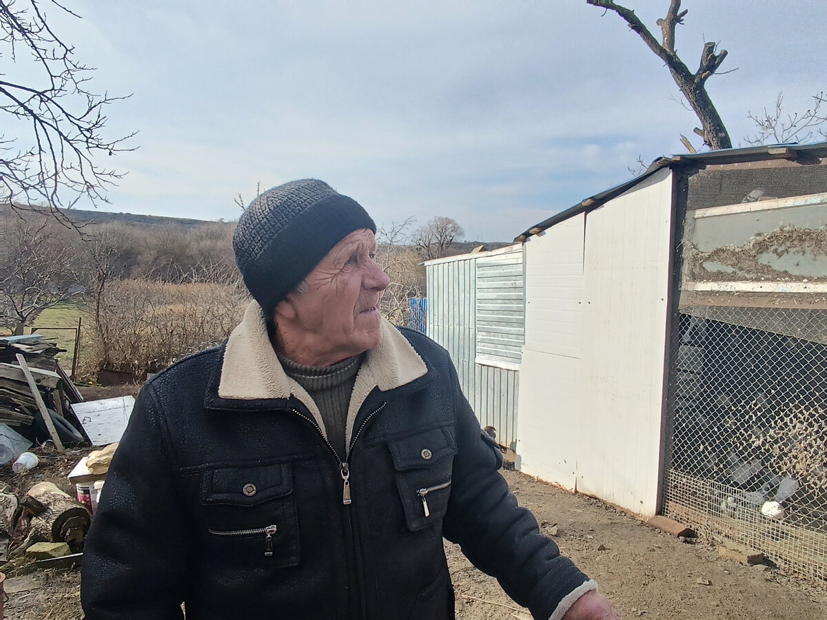 Они живут на всех континентах земли, кроме Антарктиды. Рассекают небеса на скорости до 70 километров в час. Их глаза видят практически на 360 градусов вокруг, а на теле больше 10 тысяч перьев.-10