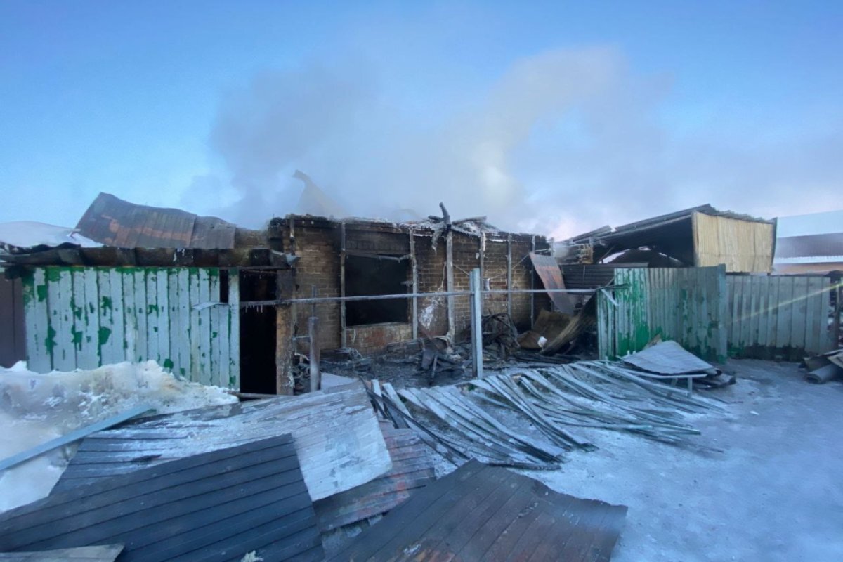    Уголовное дело завели после гибели ребёнка при пожаре в СНТ под Челябинском