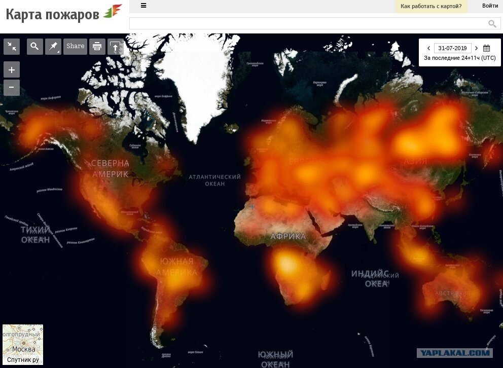 Мировая карта пожаров. Карта пожаров в мире сейчас.