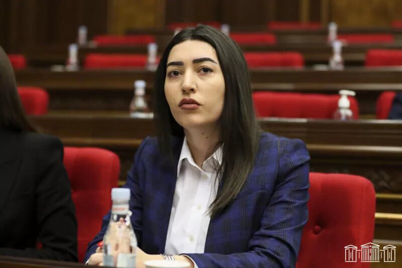 © Photo : official site of the Parliament of RA