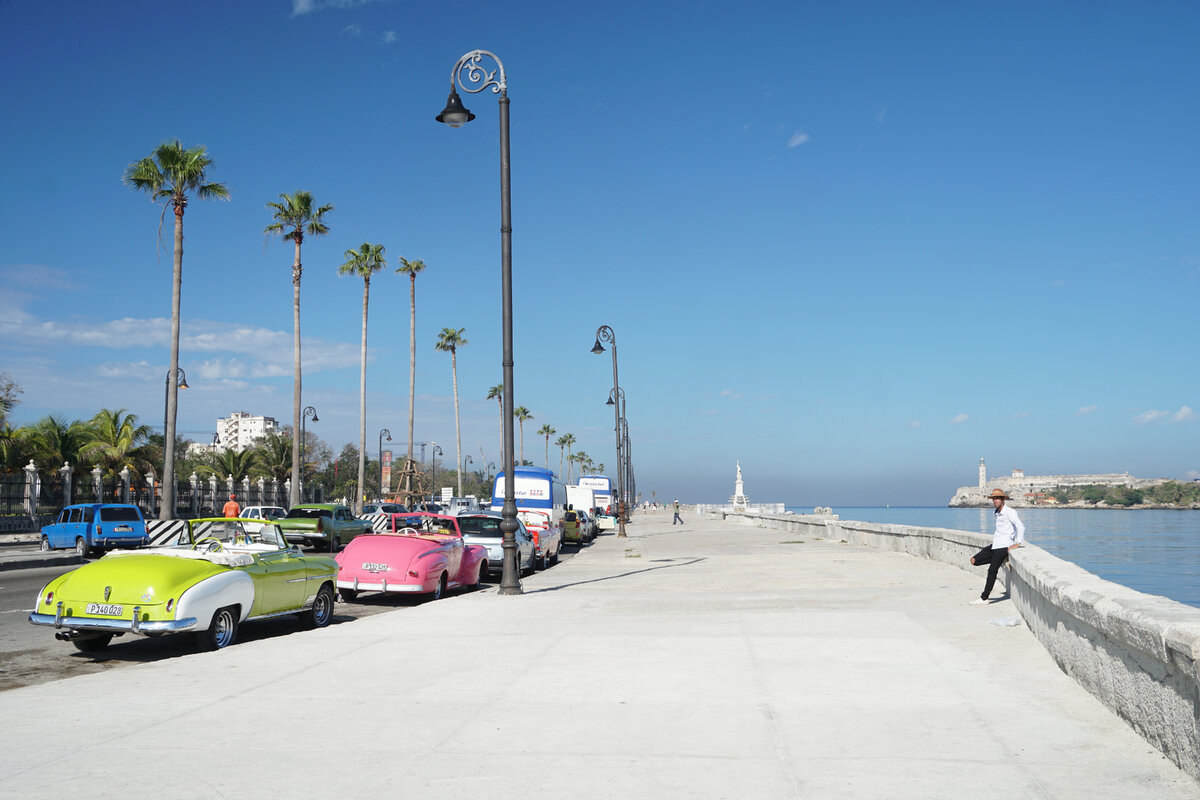 Отличное место для отдыха, только оно редко бывает в тени. Фото: shutterstock