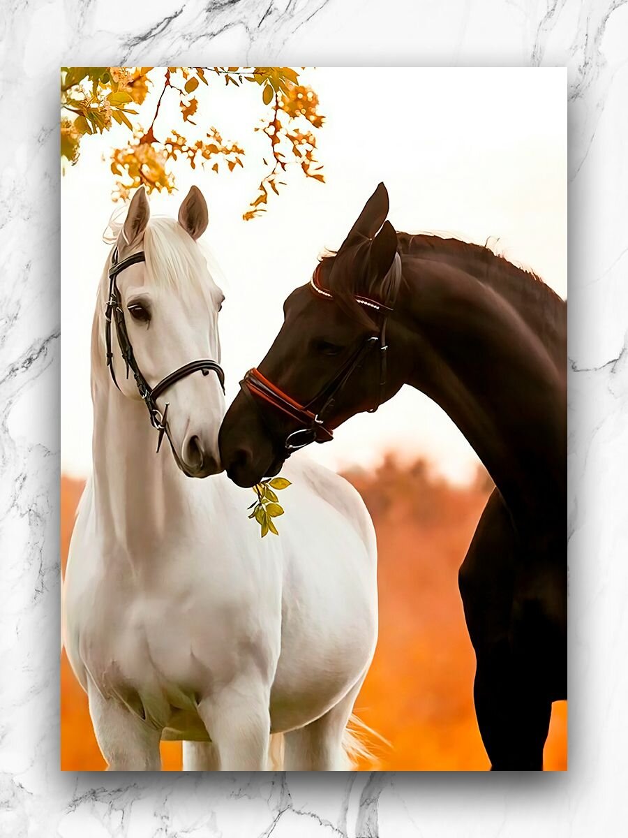 Как выглядит эмбрион в 3 недели. Третья беременность. Беременна 3 дня. Живот на 11 неделе 1 день беременности. Как выглядит эмбрион в 2-3 недели от зачатия.