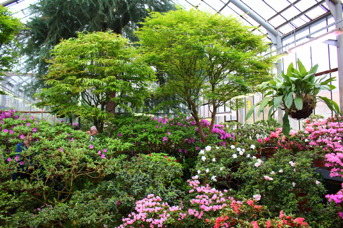 Ботанический сад