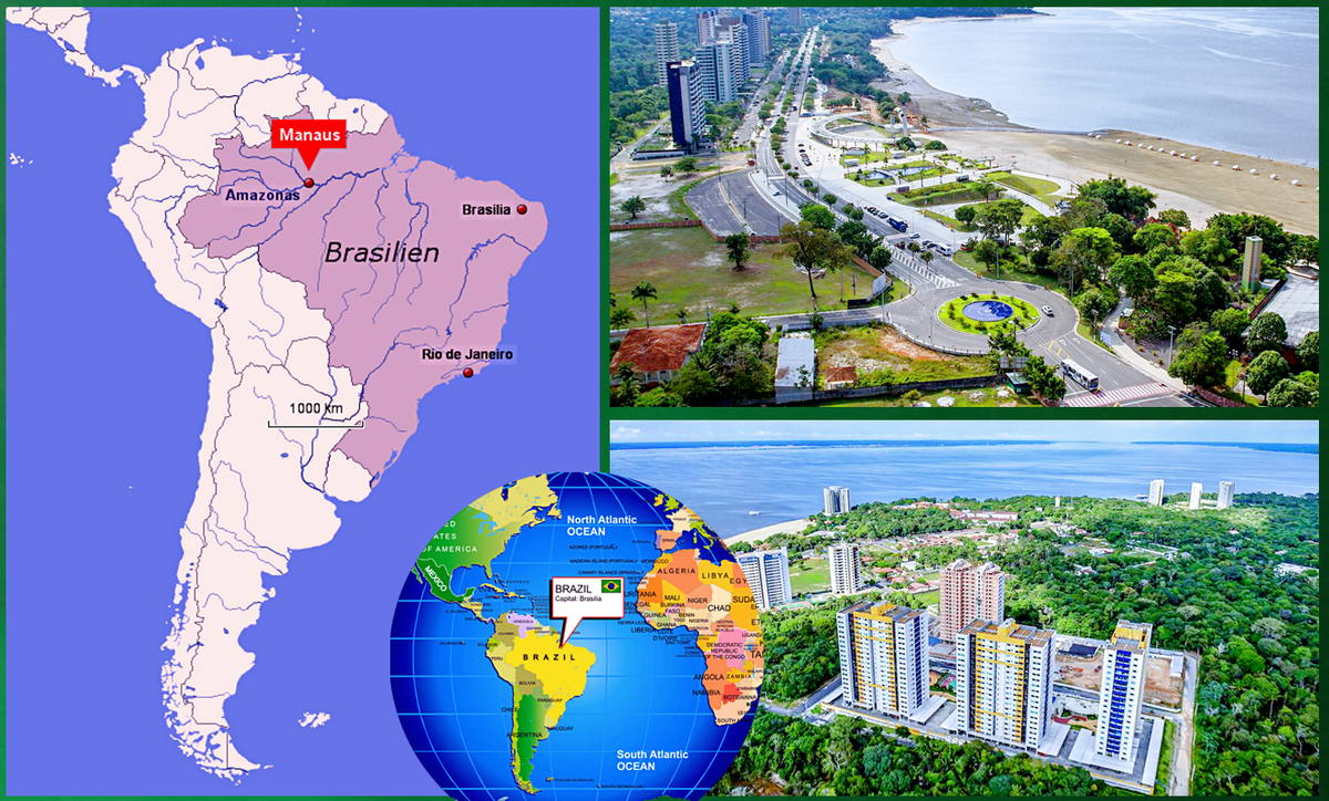 Что воспринимает орган слуха. Насекомые издающие звуки. Музыкальные инструменты в децибелах. Насекомые которые издают звуки. Колебания громкость звука.