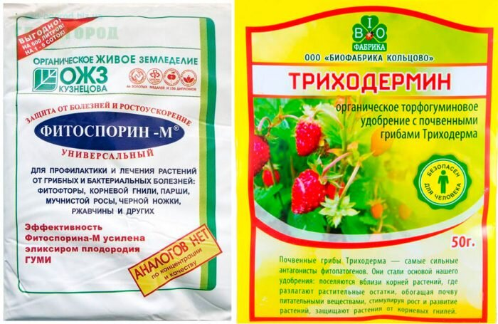 Триходермин и Фитоспорин. Что лучше и можно ли совмещать?