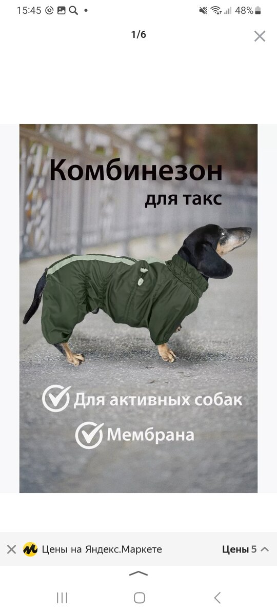Сейчас вроде