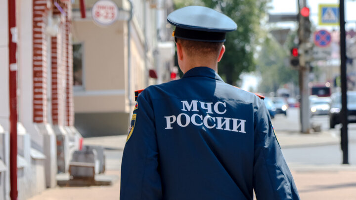 Фото: ELENA MAYOROVA/GLOBALLOOKPRESS