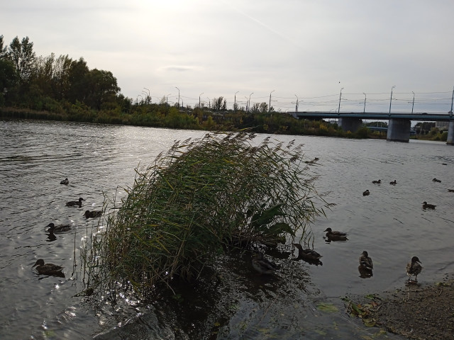 Фото: perfectstock.ru