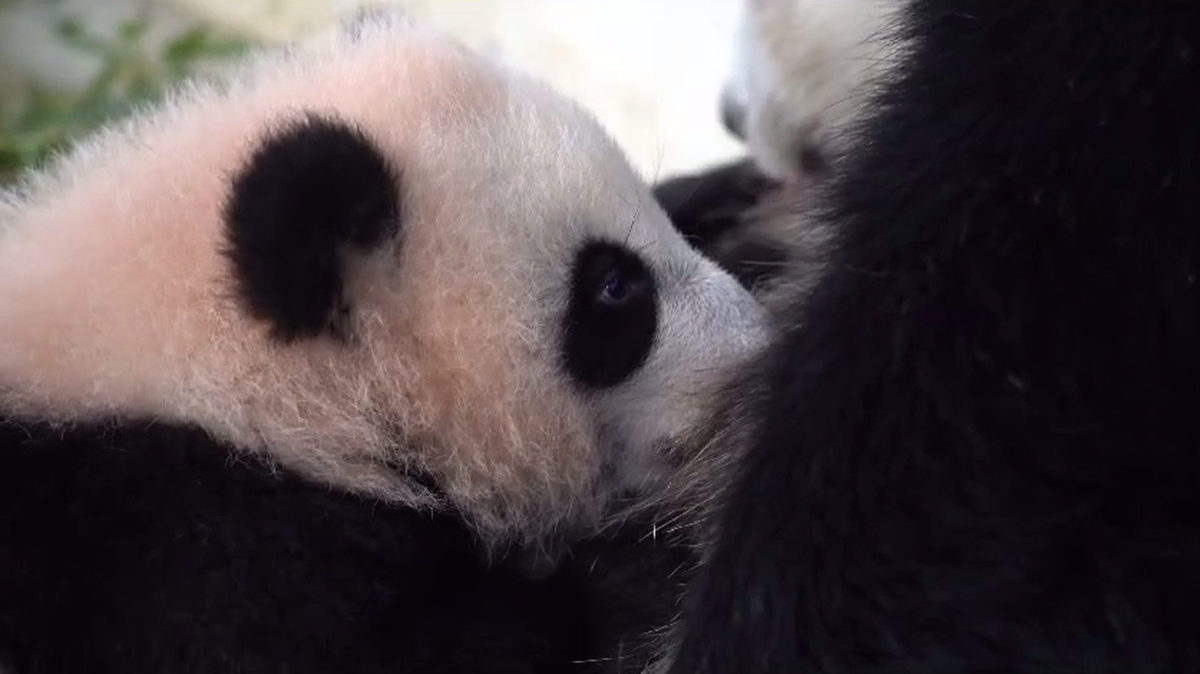    Фото: Светлана Акулова / Telegram