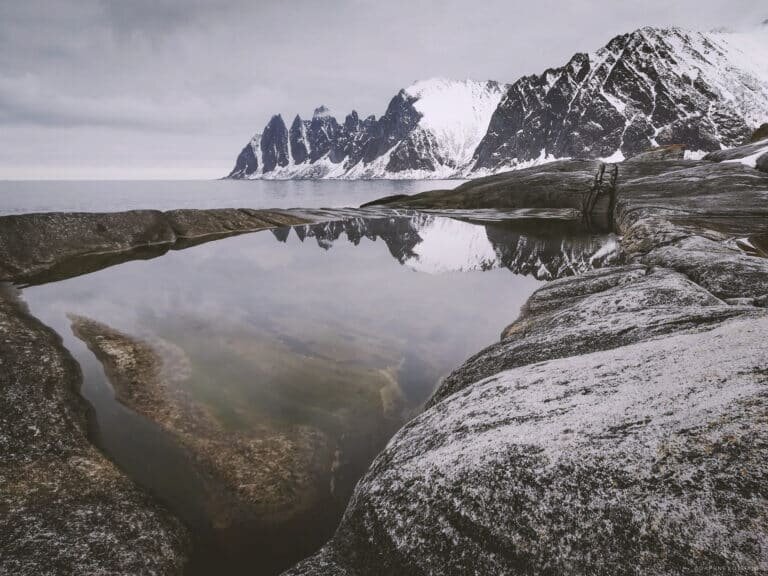 Глобальное потепление привело к смене видового состава в северных широтах / © Getty images📷
