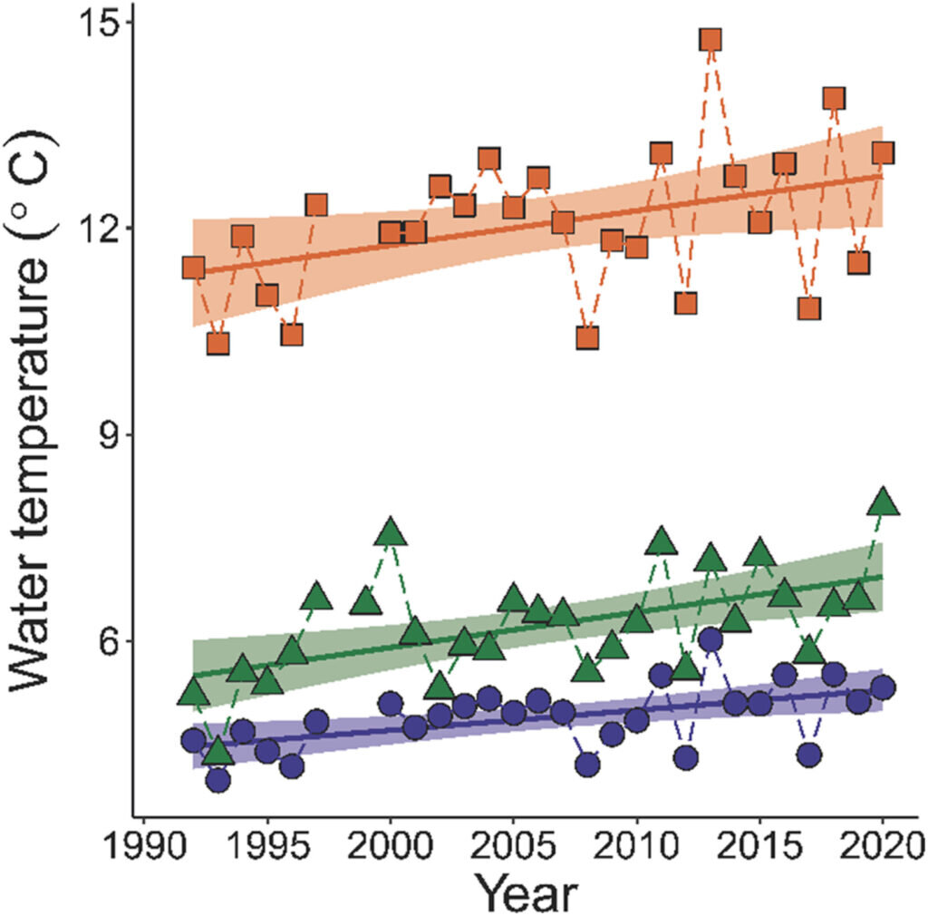    Температура воды в водотоке Паз с 1992 по 2020 год. Среднегодовая температура – синие кружки. Средняя осенняя температура – зеленые треугольники. Красные квадраты – средняя летняя температура в водотоке реки Паз / © Пресс-служба КНЦ РАН