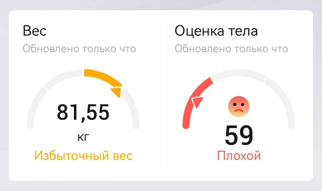Скриншот из приложения для весов