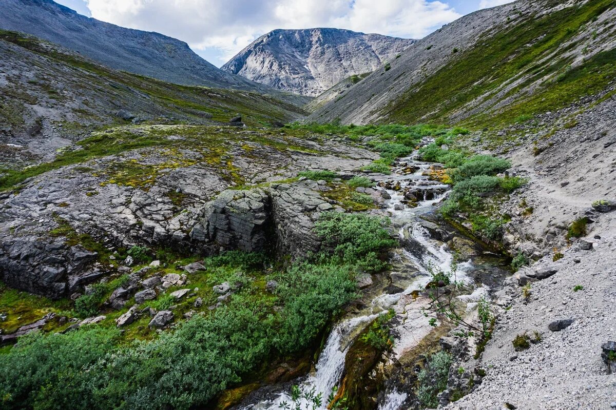 «Почувствовать ледяное дыхание Арктики» — так туристы говорят о путешествии. И не зря: зимой здесь –35 °C, а летом до +15 °C.
Источник: shutterstock.com