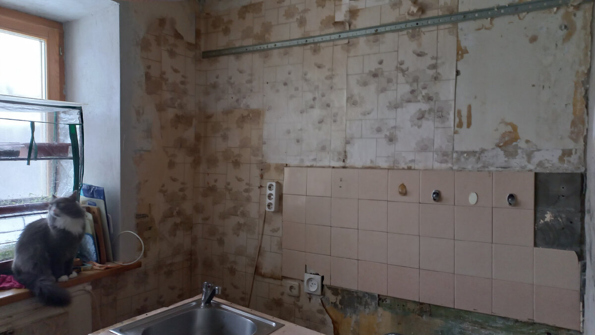 Освободили стену, которая уже давно ждала своего часа. И Помогатель с нами, без него ни одно дело не делается. Тем более ремонт!