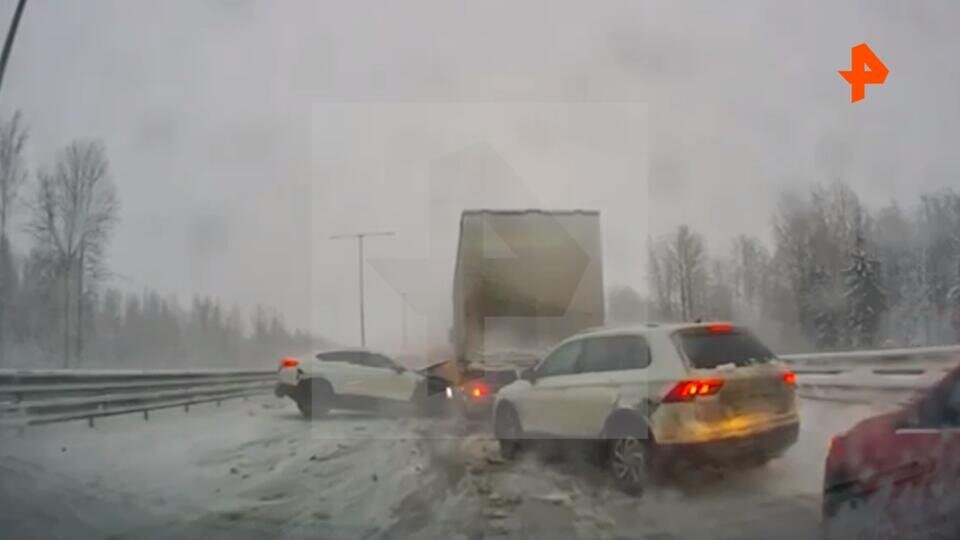 Фото: © Скриншот видео