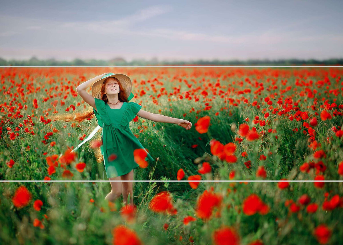 Делим кадр горизонтальными линиями и располагаем горизонт вдоль одной из линий.