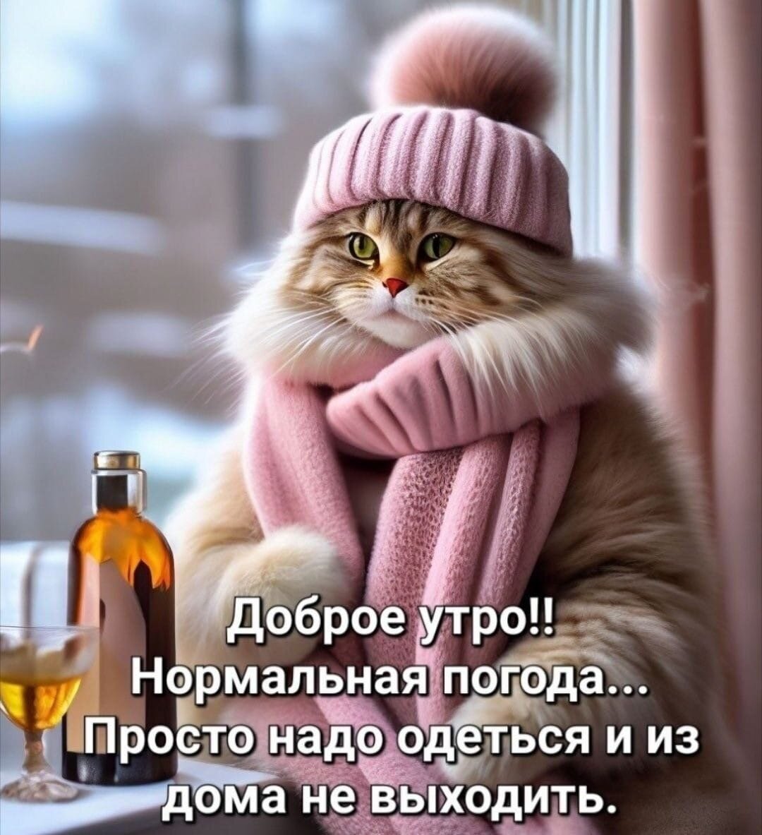 Фото из интернета в свободном доступе