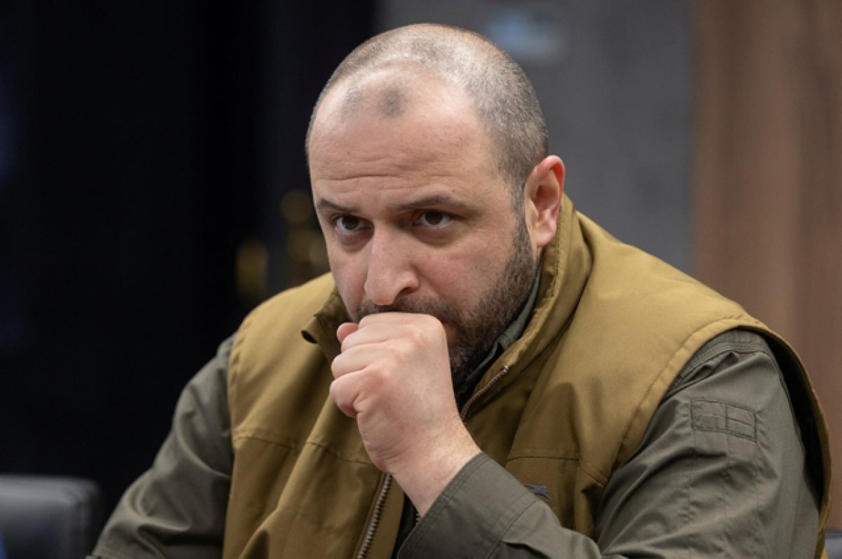    Министр обороны Украины Умеров признался в масштабной коррупции в ВСУ