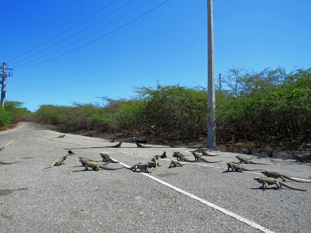 Где-то в Доминикане