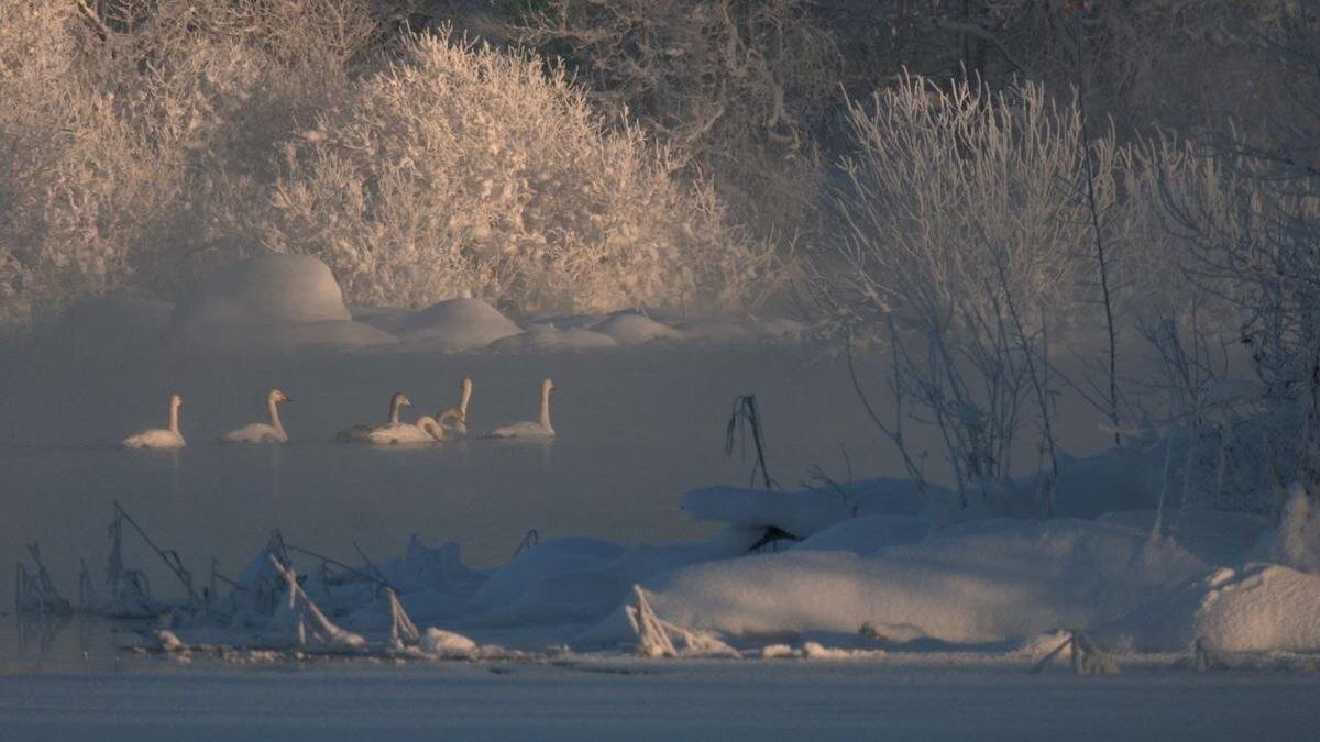 Фото: Павел Глазков