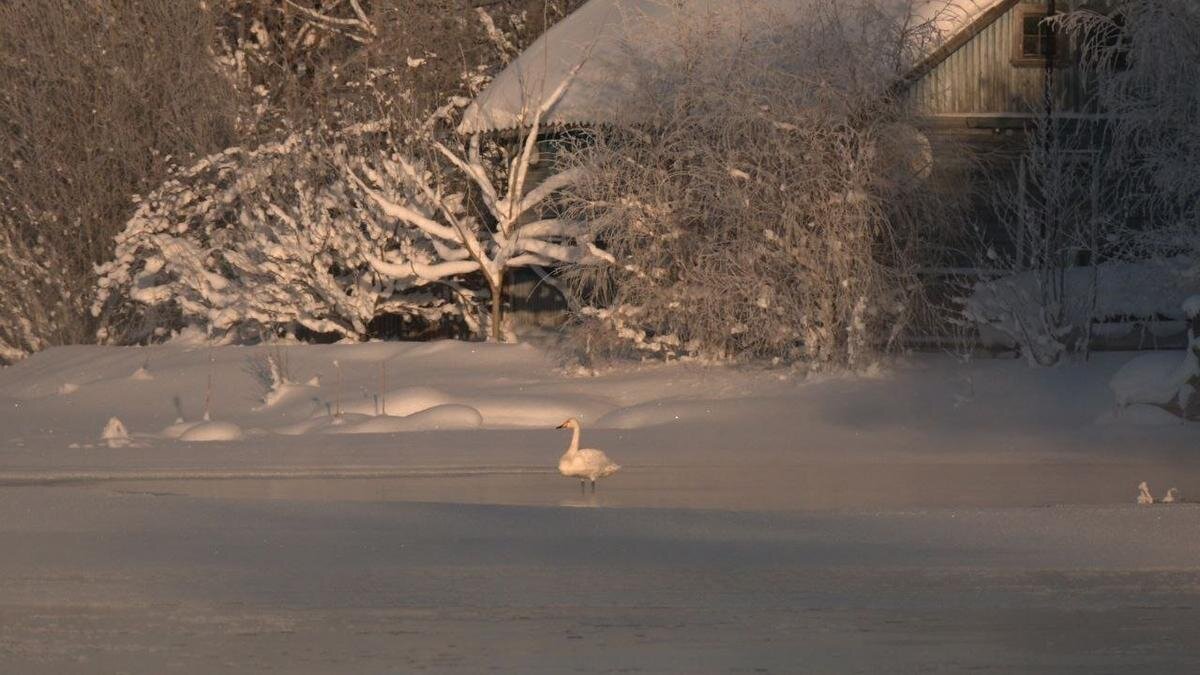 Фото: Павел Глазков