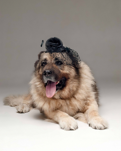 Фото: соцсети Марии Мининой