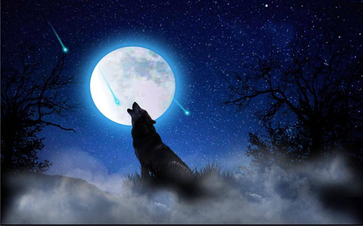 Волки воют на луну песни. Волк в ночи. Волк и Луна. Волк ночь Луна. Ночные волки.
