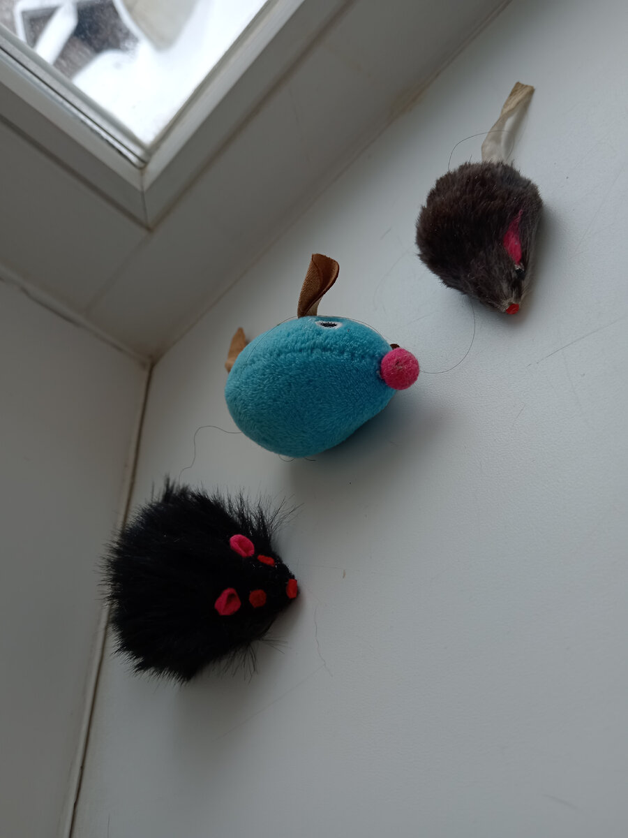 Симины игрушки 