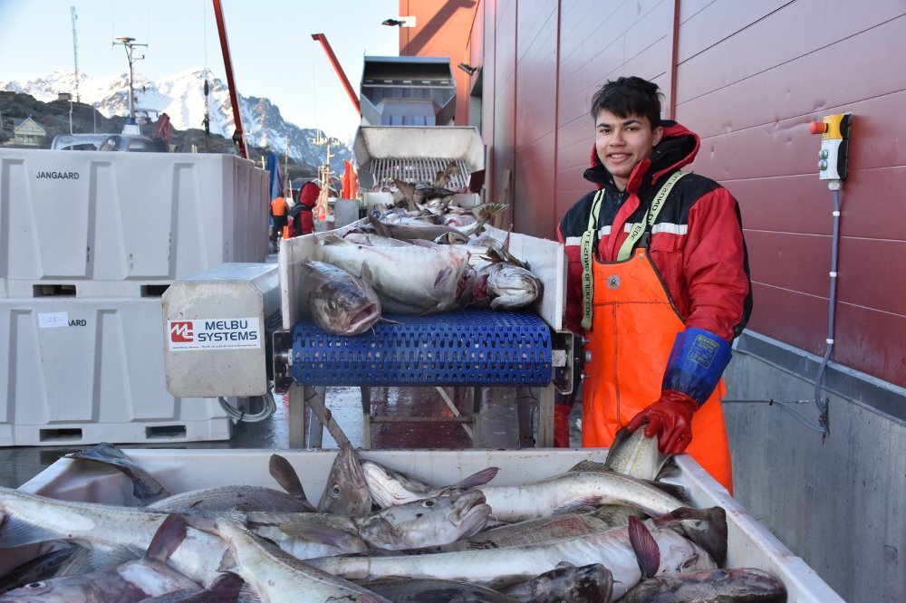 Работа в Норвегии: Рыбный завод Nordic Seafood Group