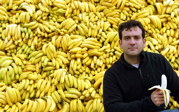 Фото Яндекс картинки.