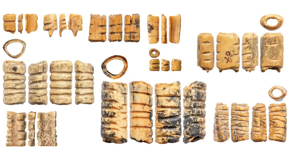   Михаил Шуньков и др. / Археология, этнография и антропология Евразии, 2023