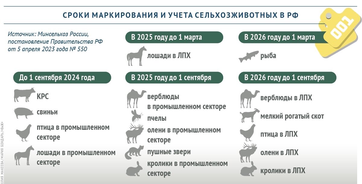 В какой срок нужно оплатить