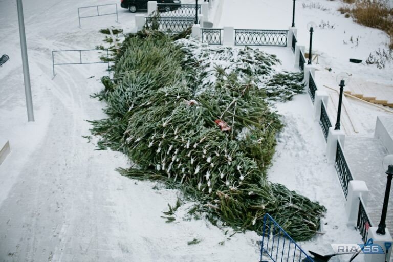    Оренбуржцам напомнили правила утилизации елок Андрей Севостьянов