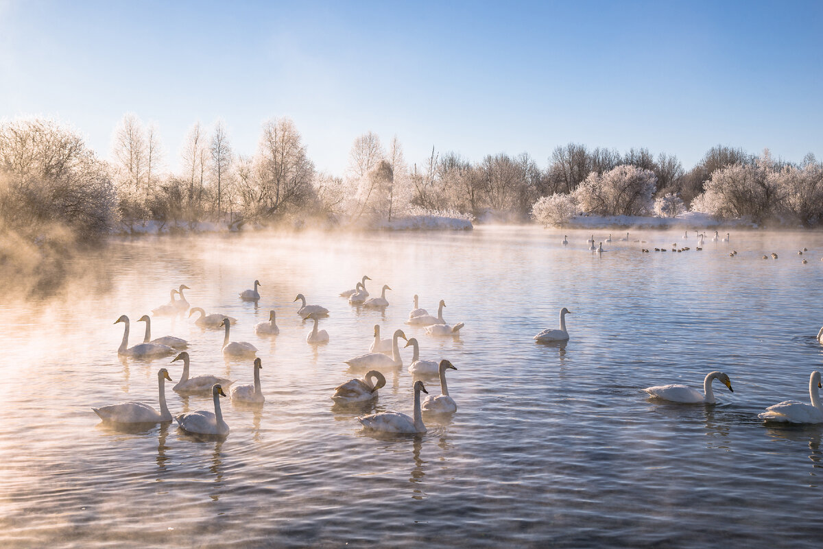 © Nikolai Denisov/ Shutterstock