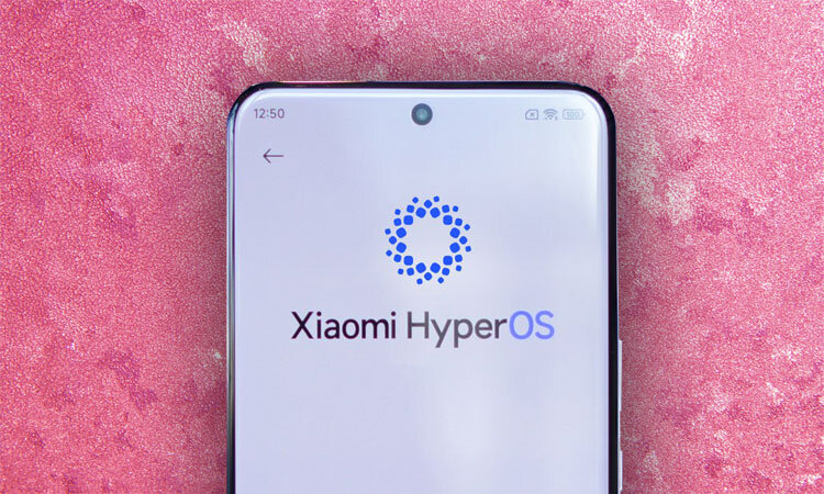 Изображение: hosx.ru 