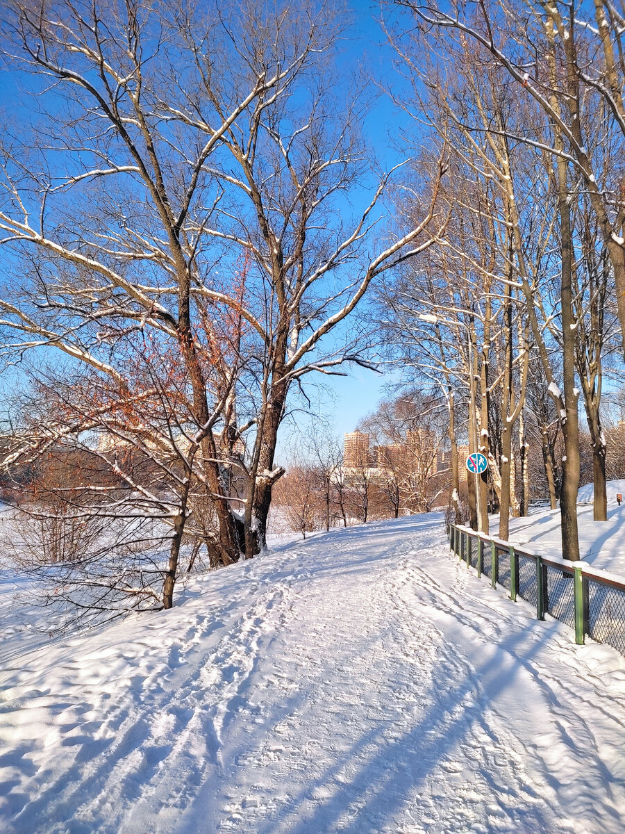 Зима в Подмосковье 