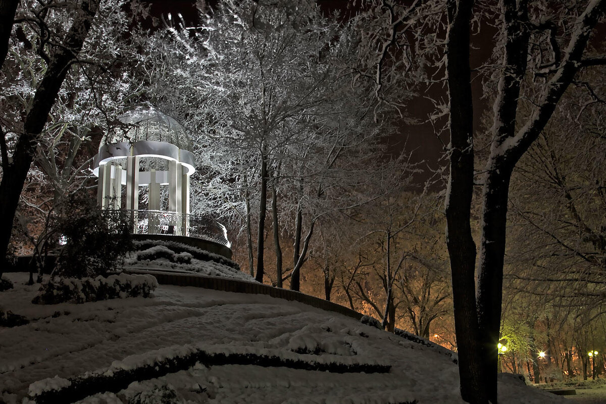 Сквер Горького ночью